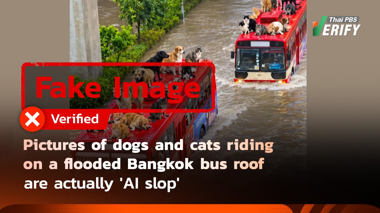 Fake Image: Pictures of dogs and cats riding on a flooded Bangkok bus roof—falsely claimed as real rescue efforts—are actually ‘AI slop’ Fake Image: Pictures of dogs and cats riding on a flooded Bangkok bus roof—falsely claimed as real rescue efforts—are actually ‘AI slop’